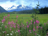 Landschaft von Alaska